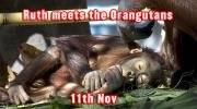 Ruth meets the Orangutans!
